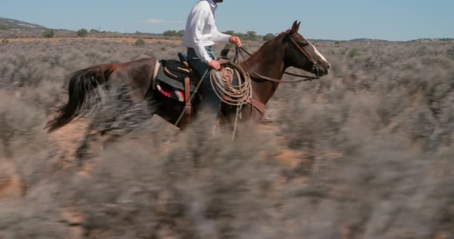 A man is riding a horse through sage brush