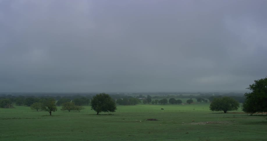 Green pastures with trees and the sky in the background