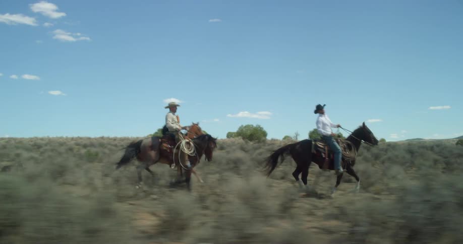 Cowboys ride horses through scrub kicking up dust