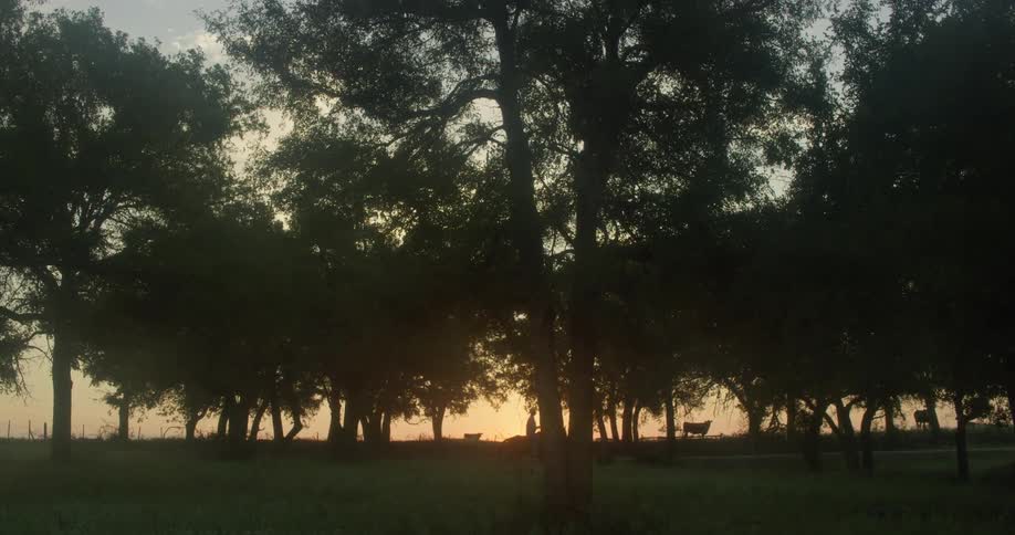 A person riding on horseback on the top of a hill at sunset