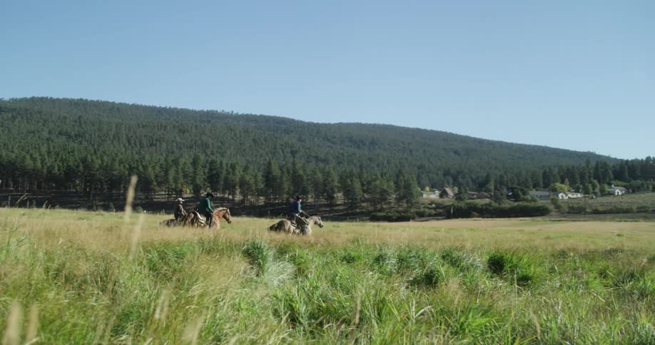 People ride horses together over the field