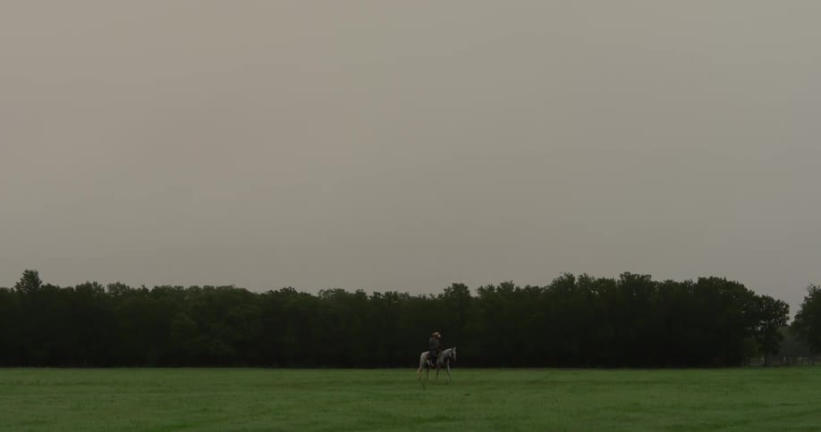 Lone horseman rides through pasture near woods