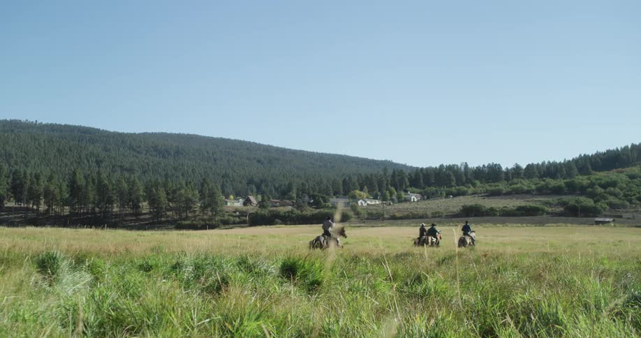 Four people ride horses across the field