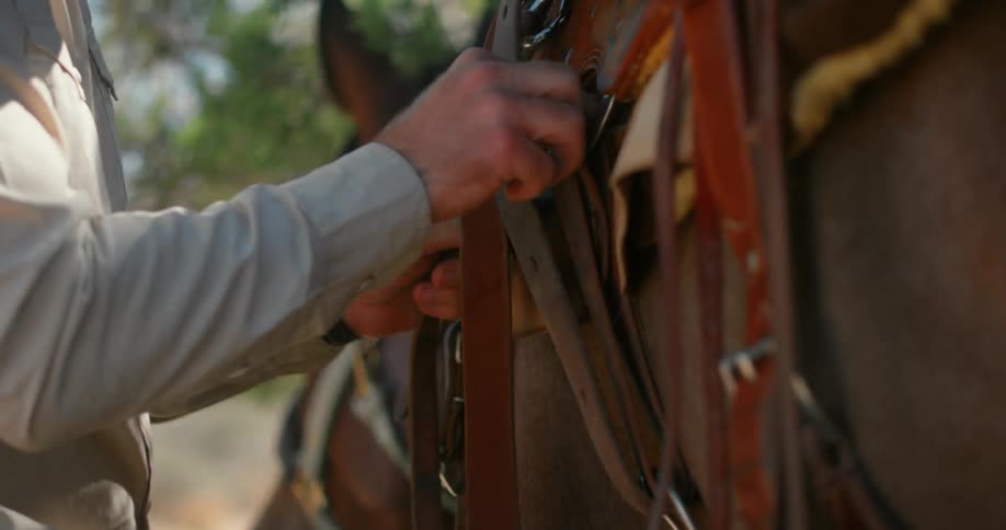 A man tightens the saddle