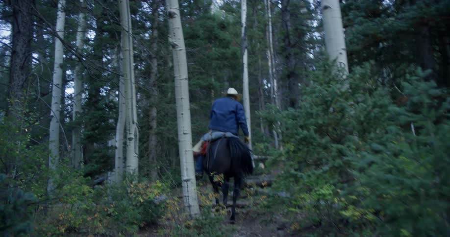 A man carefully rides a horse uphill through a densely forested area