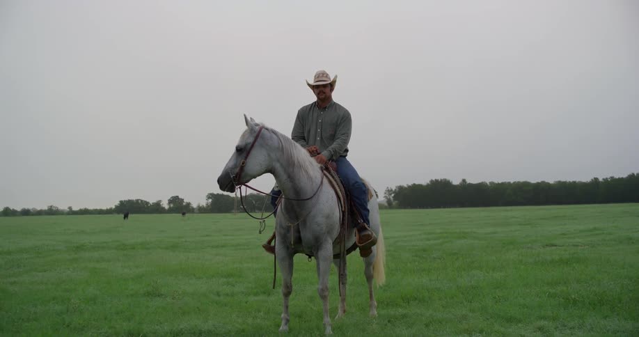 A cowboy rides a white horse in a rural field