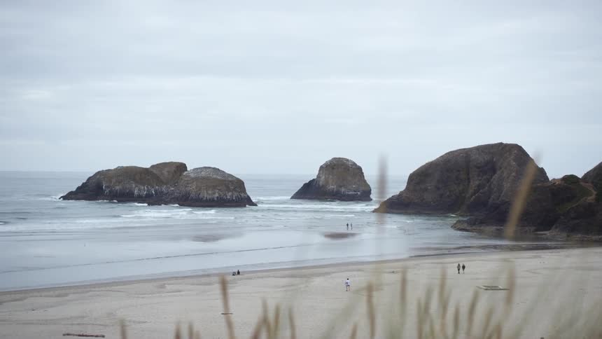 A handful of people walk along a sandy shores of an ocean beach