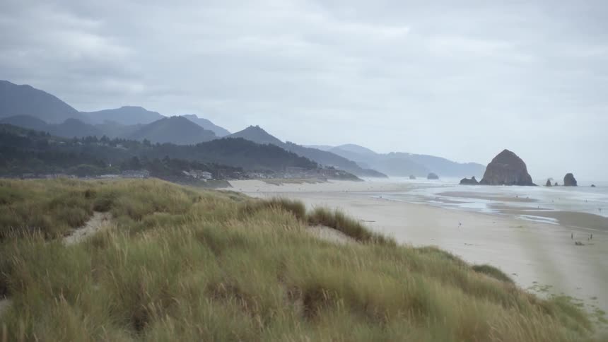Grass near a beach on a cloudy day