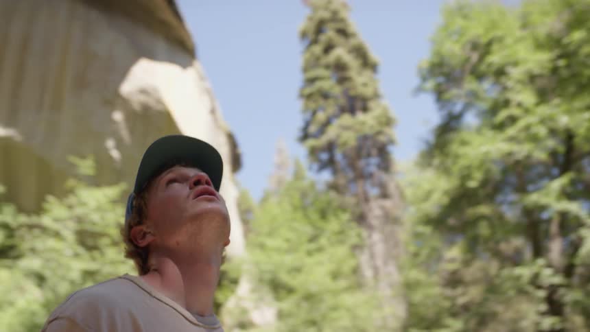 A person looks up towards a forest and a waterfall