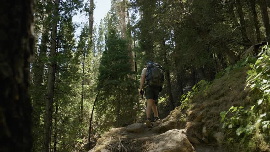 A man stops to look around while hiking a trail in the forest