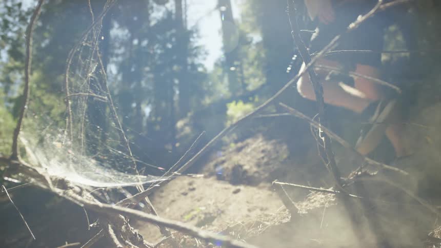 Male photographer wearing a backpack walks in the forest on a sunny day