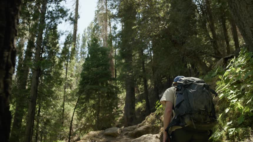 A hiker climbing a rock in a forest