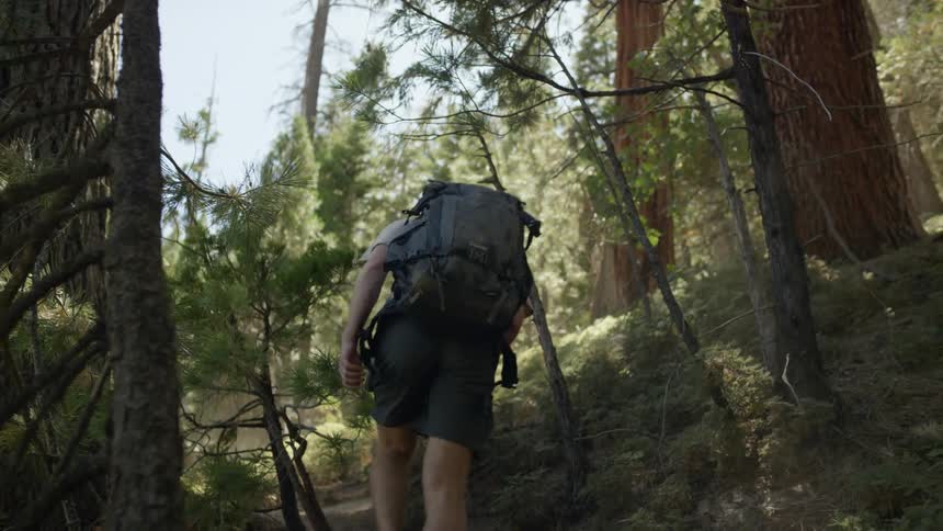 A man carries a camera as he hikes through the woods