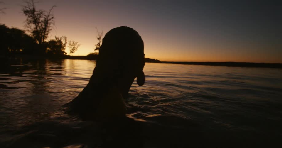 A woman dips her head in to the lake