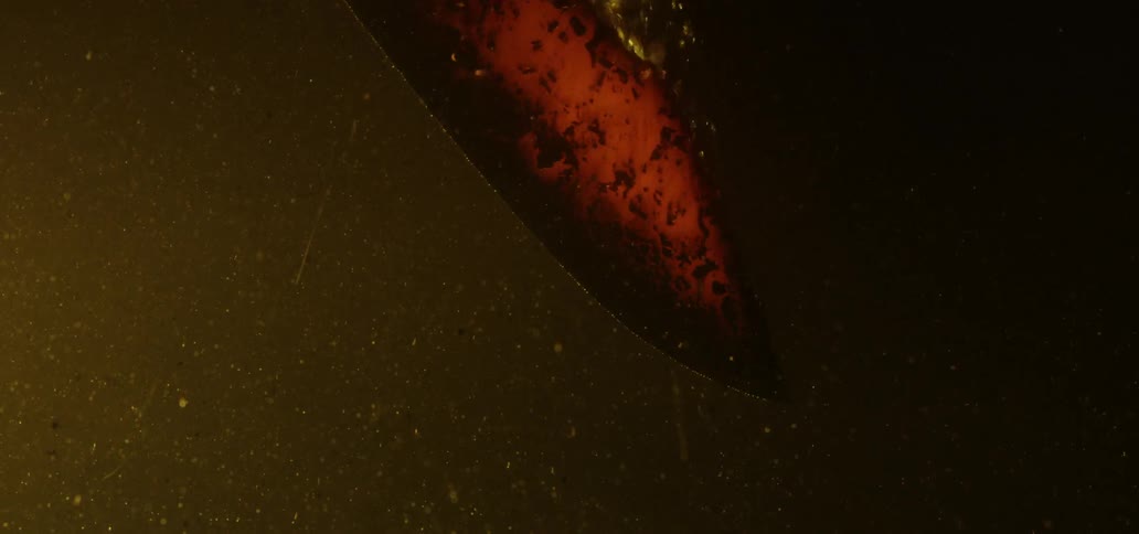 A rusty board is immersed in to the water