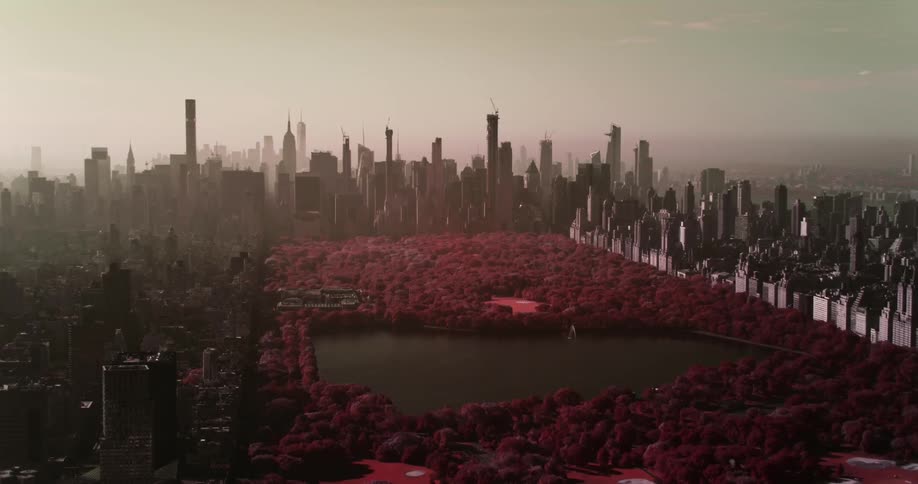 In the midst of a major metropolis a large park containing trees and a lake is situated in the middle of it
