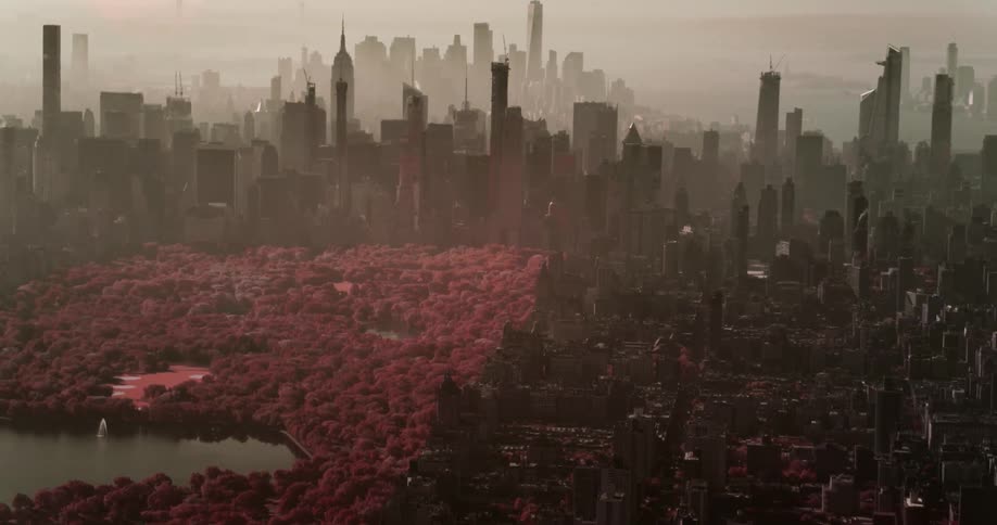 The city covered in fog