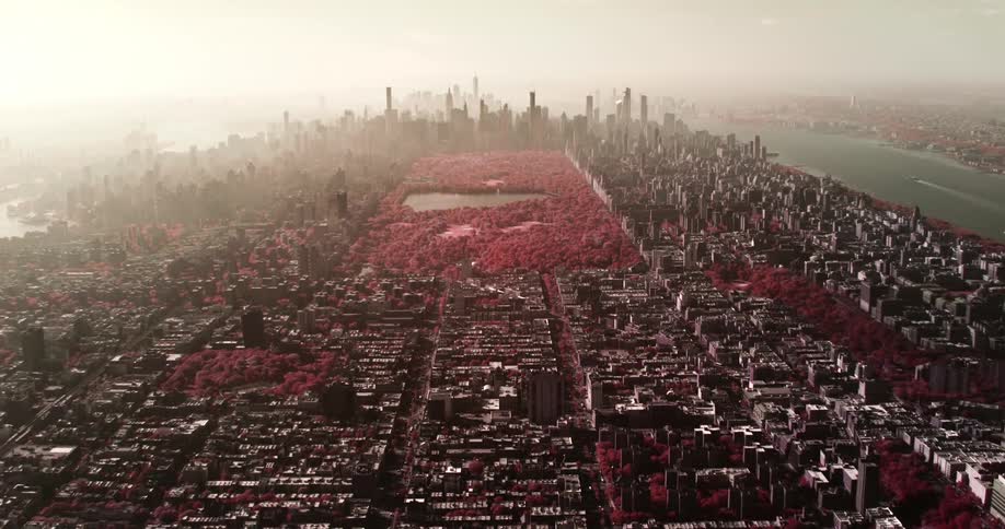 Aerial view of a city