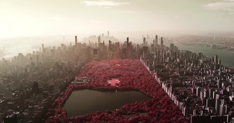 Aerial view of new york central park