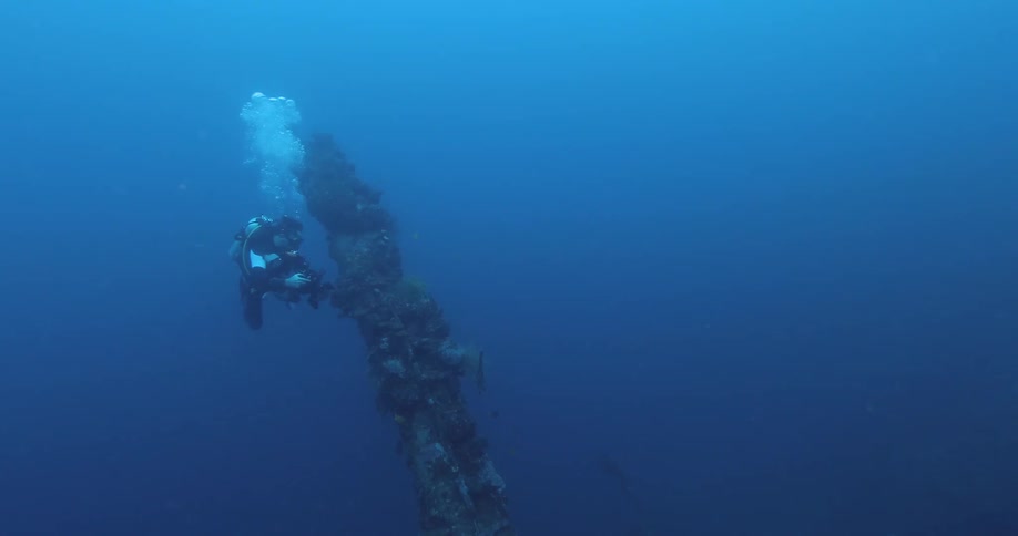 A scuba diver is taking photos underwater