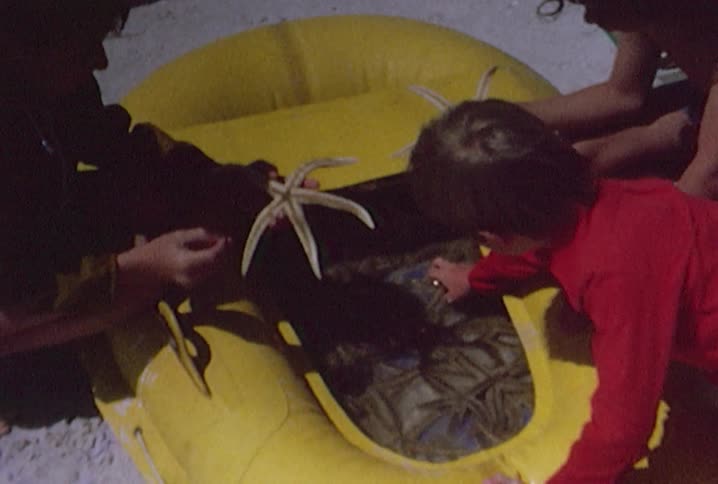 Kids playing with star fish in a raft filled with water