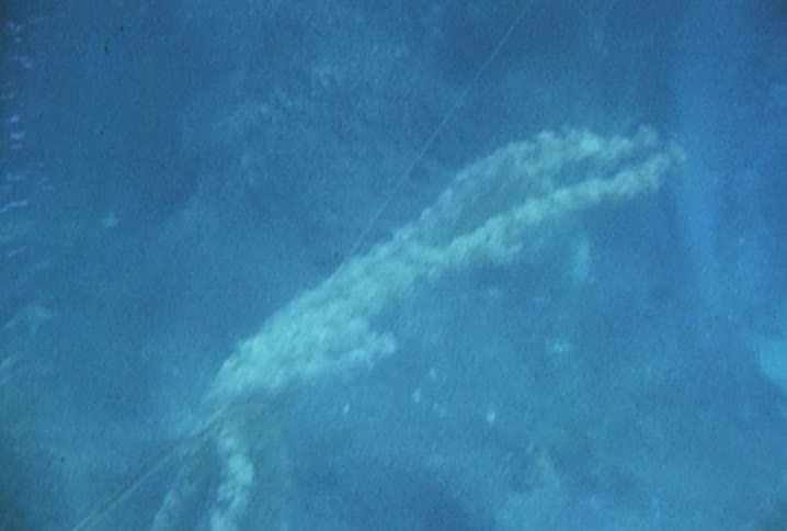 Old footage of divers underwater and marine life