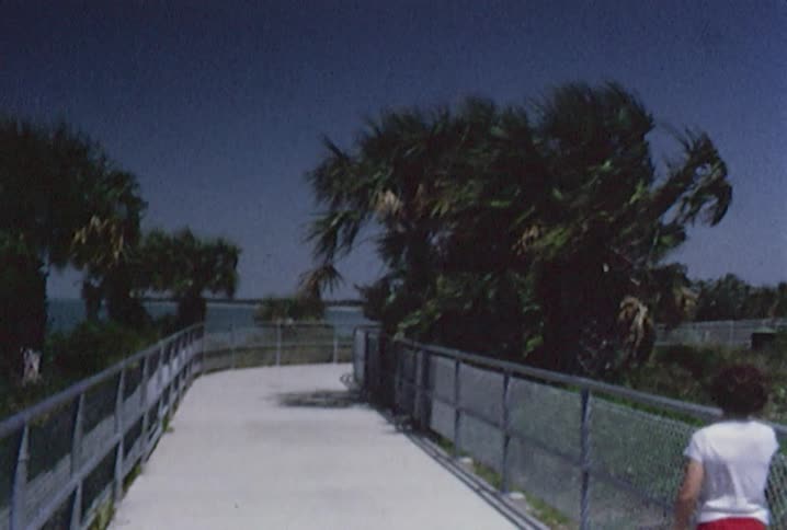 Old footage of a brush-lined, fenced walkway near the ocean
