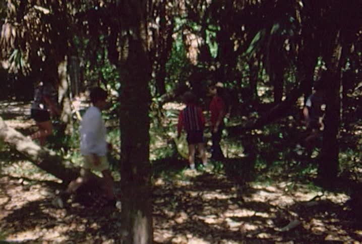 Old footage of people walking around under an area filled with palm trees