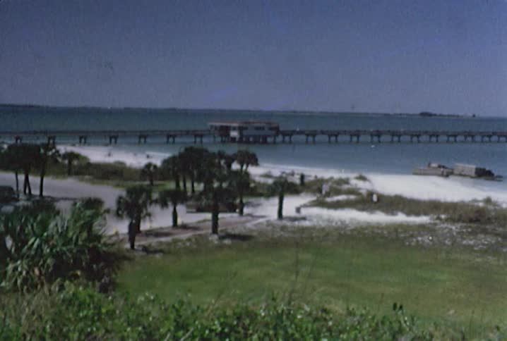 People walk along a shoreline next to a long pier