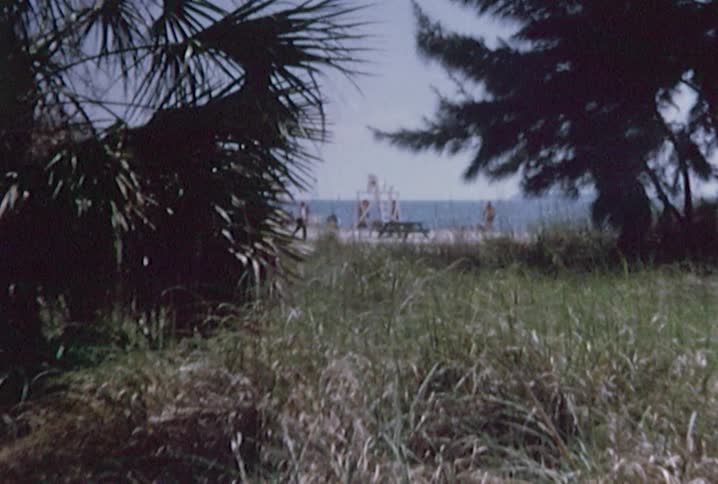 People on the beach seen between bushes and trees