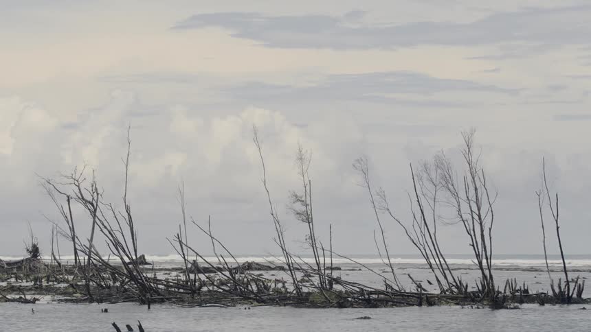 Landscape view of the sea
