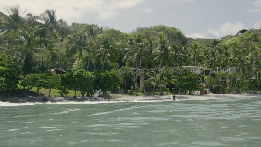 Two people play in the ocean water alone beside lots of coastal palm trees
