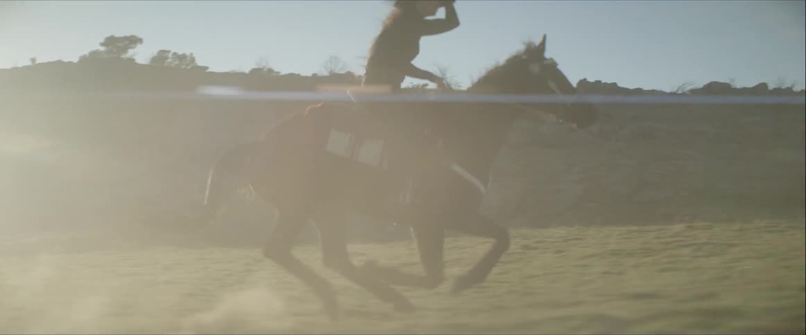 Woman riding a horse across a field in high speed