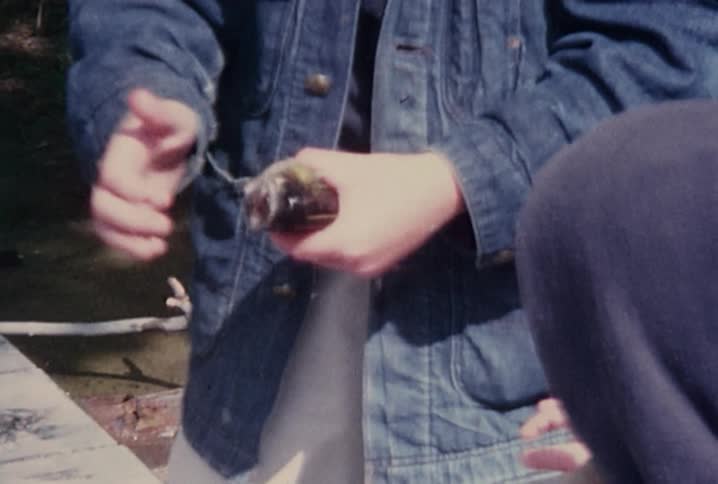 A person is sticking his finger in a fish's mouth