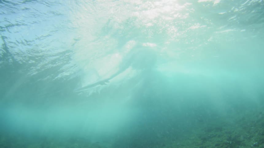 Small surf board travels on surface as fish swims underwater near seabed
