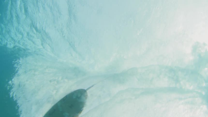 Underwater view of a surfboard on top of the water