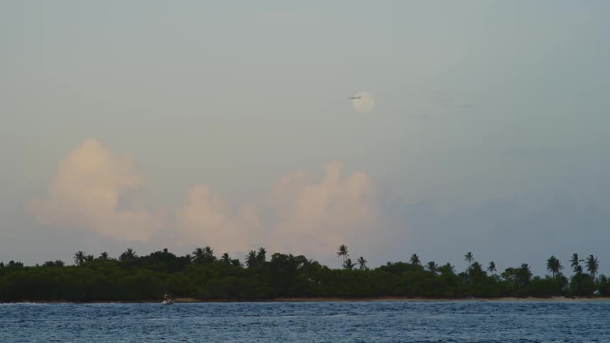 An airplane flies over a beach covered with palm trees as a boat wakes in the water