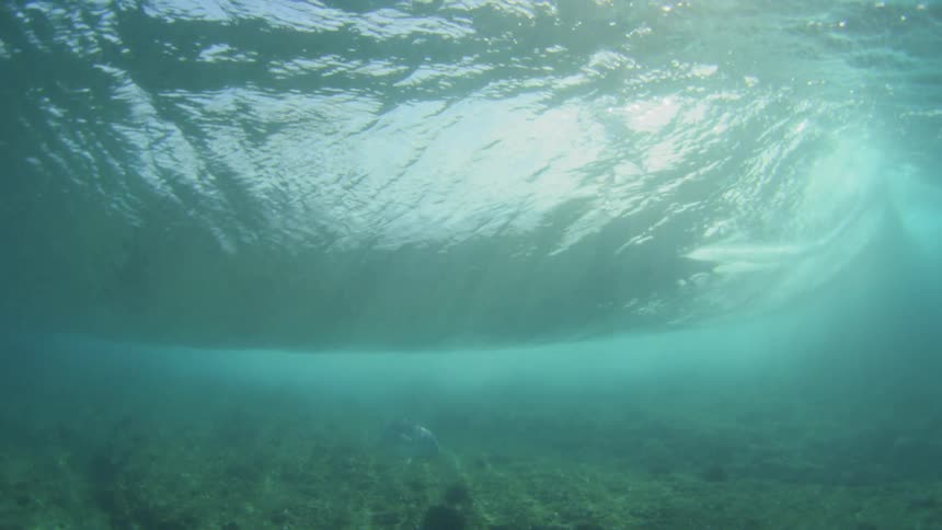 Underwater view of surfer riding a wave as fishes swim by