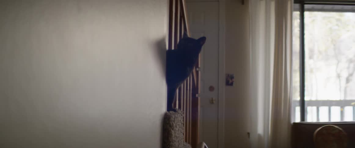 Black cat peeks out from railings on the stairs
