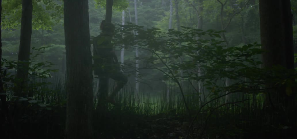 Bearded man walks through the forest holding a gun