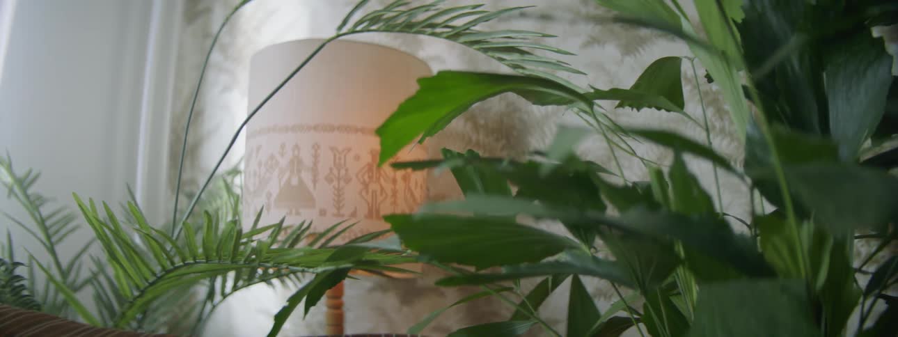 Potted plants surround decorative lampshade