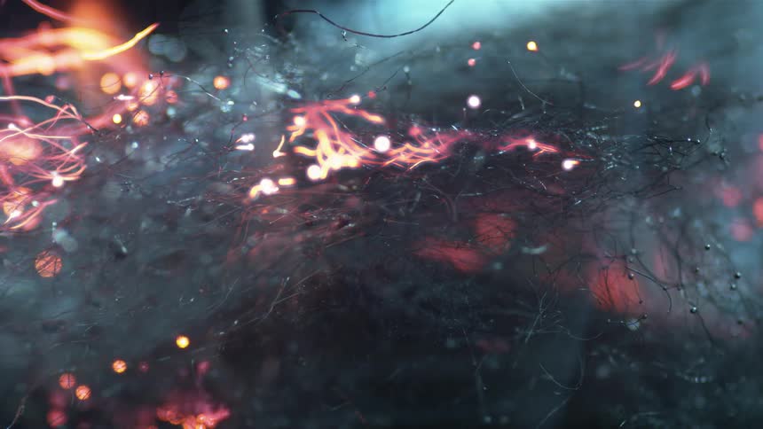 Flames take over the web