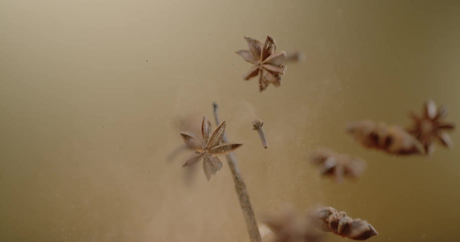 Spices are tossed up into the air