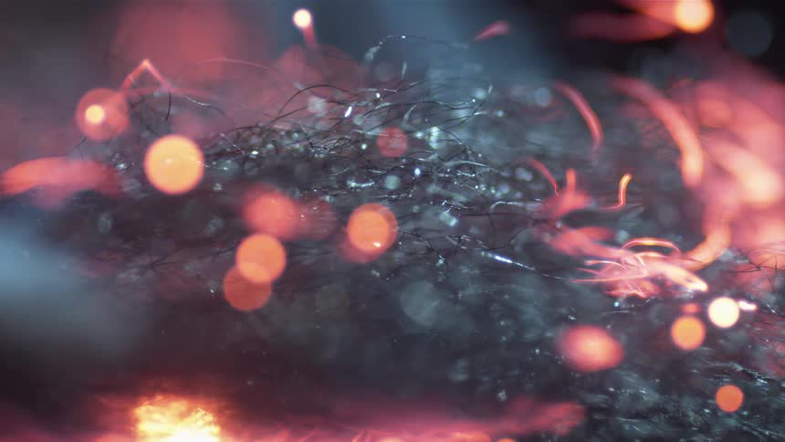 Black strands lie on a red surface