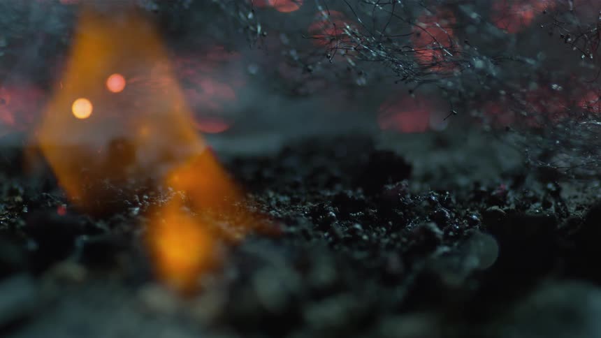 A fire burning with ash in the background