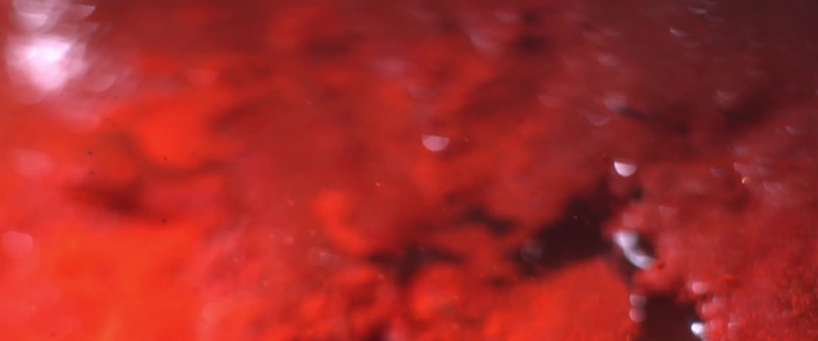 Water in a stream runs over dirt