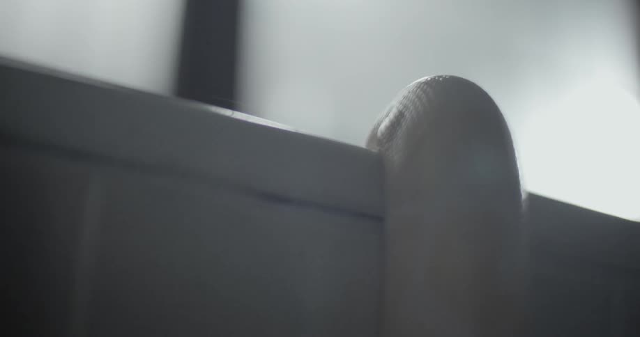 A yellow snake slides down the wall of a window ledge