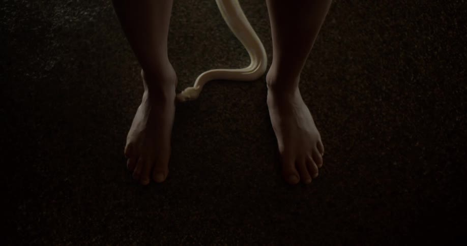 Pale constrictor startles person by touching their foot