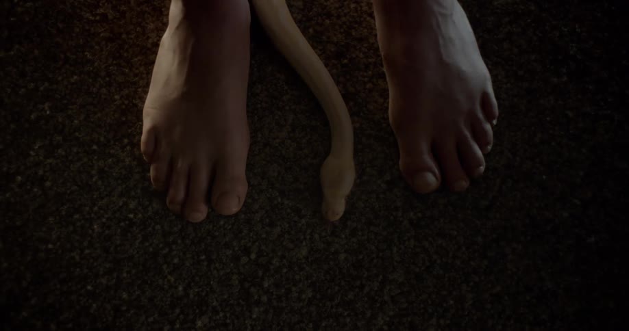 A person lifting a foot to avoid a snake slithering between their bare foot
