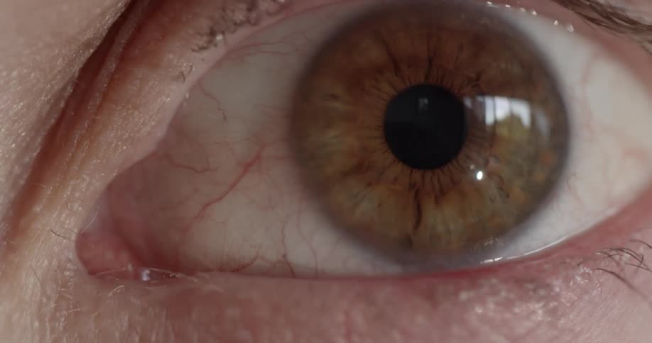 Close up of a human eye
